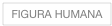 FIGURA HUMANA